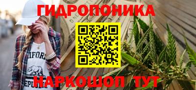 стаф Моздок