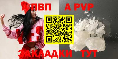 стаф Моздок