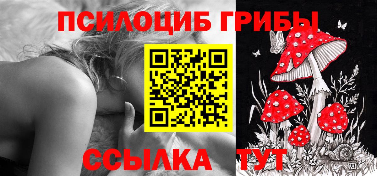 Псилоцибиновые грибы прущие грибы Тольятти