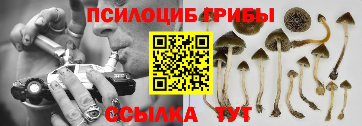 Галлюциногенные грибы Magic Shrooms  Вход с VPN  Тольятти 